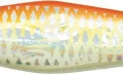 Zebco Fat Head Pilker -Williamson 3470075g5IIfZs0qVLAh 1280x1280