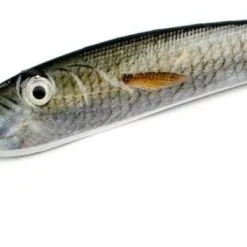 Behr Premium Pilker 80g