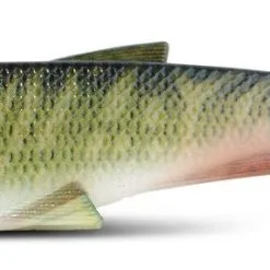 Iron Claw Belly Boy NG Nature - Gummifisch -Williamson 8382 701vO758PzPAyVu5 1280x1280