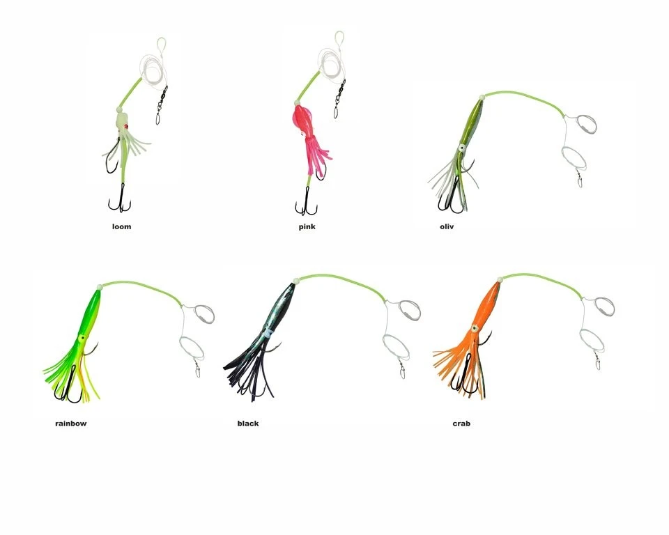 Dieter Eisele Leng Zielfischsystem II – Bild 2