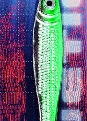 KINETIC Mini Silden Pilker