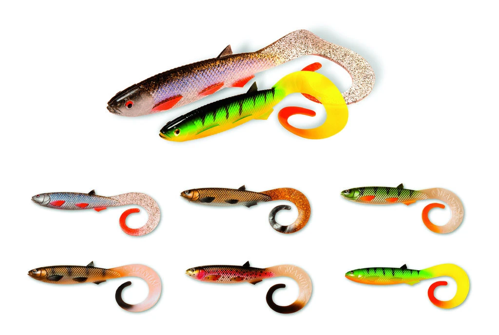 Quantum Yolo Curly Shad - Gummifisch 21cm Oder 26cm 4 Quantum Yolo Curly Shad - Gummifisch 21cm Oder 26cm – Bild 2
