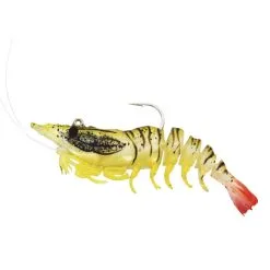 Westin Salty The Shrimp R'N R -Williamson S110 266 010eSQoHUDQ8Sduk 1280x1280