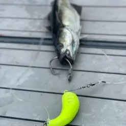 Dieter Eisele Eisele Sea-Fishing Heilbuttvorfach Circle XXL -Williamson XXL Heilbutt System Circle 771484 1280x1280