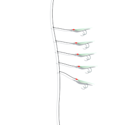 Zebco Circle Hook Heringsvorfach Mit Echter Fischhaut 12 Zebco Circle Hook Heringsvorfach Mit Echter Fischhaut -Williamson Zebco Circle Hook Herring Leader 3454005 5 hooks bAfRxcOcprbW0G 1280x1280