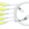 Zebco Heringsvorfach Mit Fluoreszierender Fischhaut 1 Zebco Heringsvorfach Mit Fluoreszierender Fischhaut -Williamson Zebco Herring Rig 3436000JxFLLllj3bumf 1280x1280